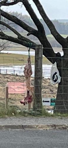 IMG_20230422_125038_480