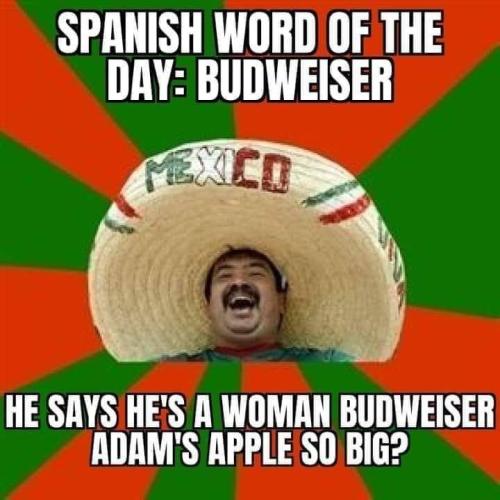 FB_IMG_1681152168339