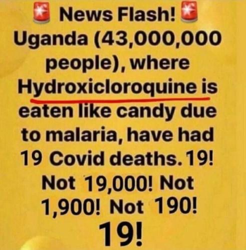 Newsflash