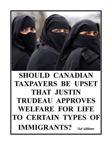 Canadian Taxpayers