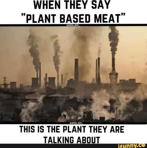 df9bc479-14c0-439a-9813-c3218d71484e