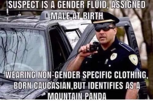 1682484469.080106