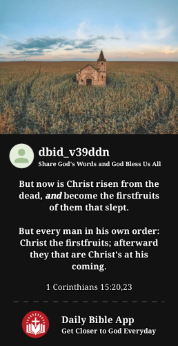 2023-04-141681481255686