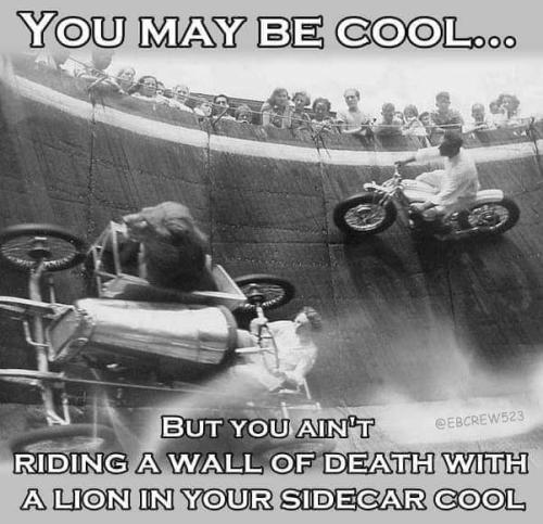 FB_IMG_1680655223383