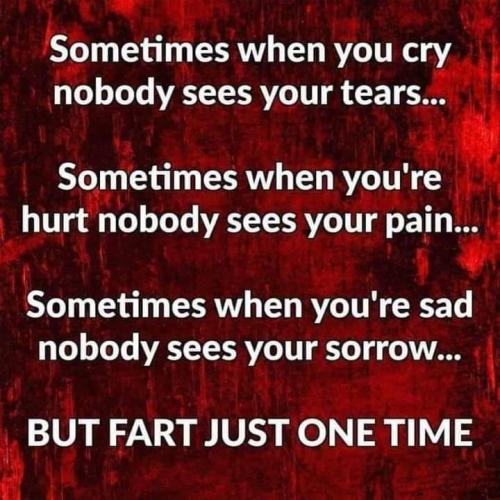 FB_IMG_1681841907379