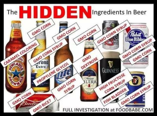 IMG_20230419_103121_796