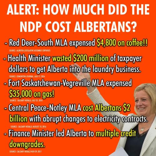 how much did the NDP cost