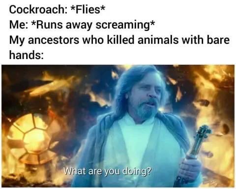 1682199254.522095