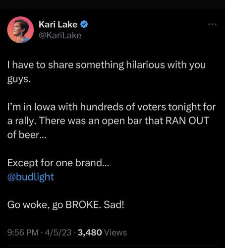 Kari Lake