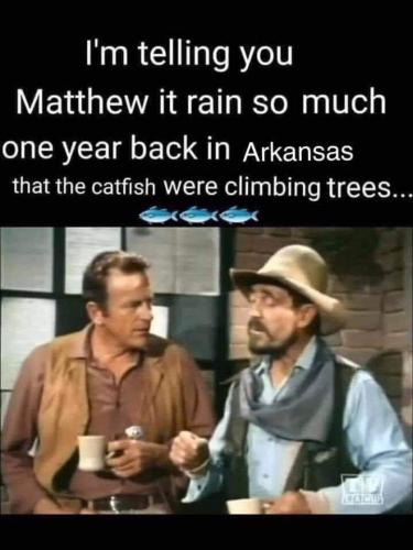 FB_IMG_1557798951696