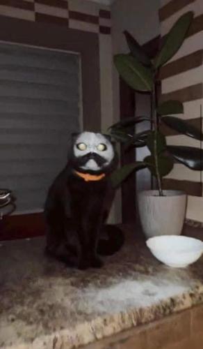 FB_IMG_1682626199787