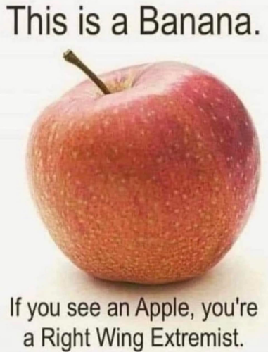 Screenshot 2023-04-08 143307