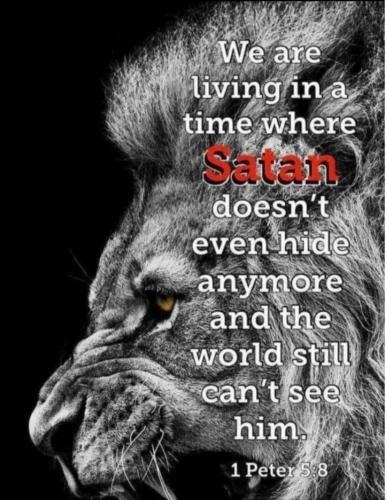 Screenshot_20230404_092917_Wimkin Pro