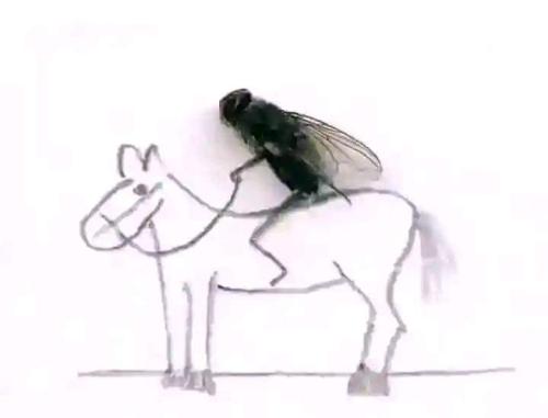 FB_IMG_1681308903477