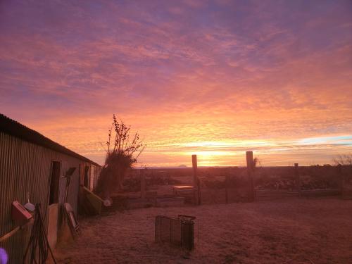 e94588bf-08cc-4d6f-a524-c8a7b613094b