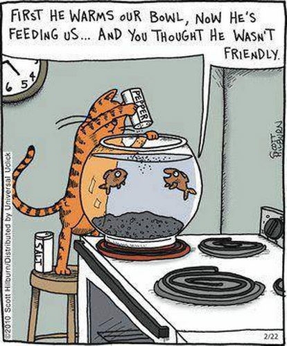 first he warms