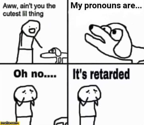 FB_IMG_1681220963193