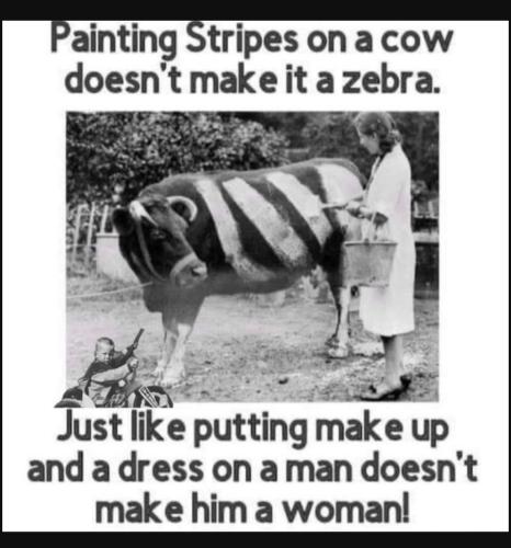 Screenshot_20230407_192340_YouTube