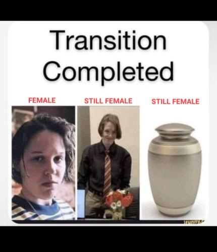 Screenshot_20230401_110036_Wimkin Free Speech Social Media