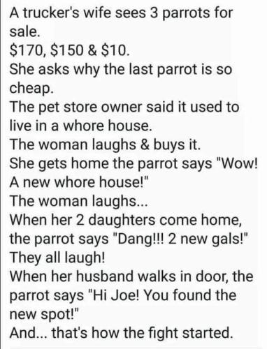 a truckers wife