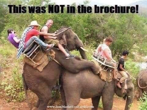 343757203_202774525840000_6789715550727795588_n