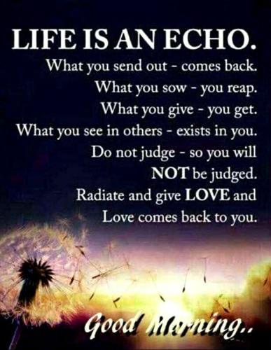 IMG_20230407_174910_438