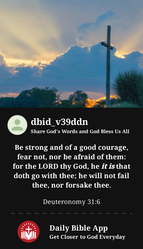 2023-04-121681343059185