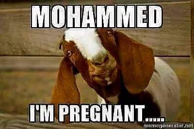 FB_IMG_1681833042316