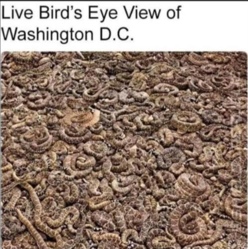 Screenshot_20230420_151319_Quora