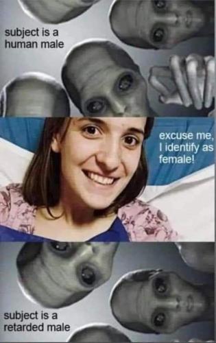 FB_IMG_1681138306918