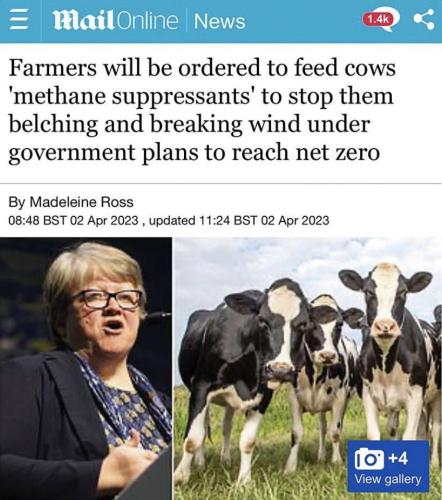 photo_2023-04-07_21-40-25