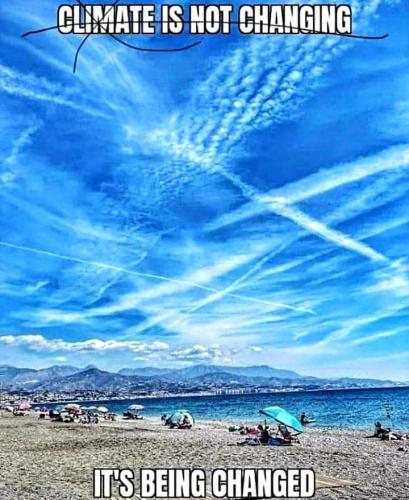 FB_IMG_1675538661846