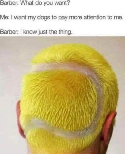 FB_IMG_1680617329755