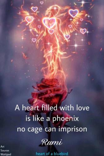 IMG_20230421_142740_228