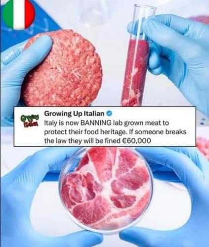 lab grown meat