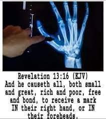 ba93e23a-14e1-4e64-b7ae-fab3eb2f70bc