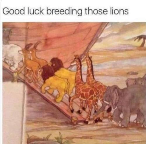 343561477_946668690014506_9079512549471098305_n