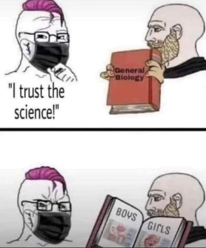 FB_IMG_1681398595477