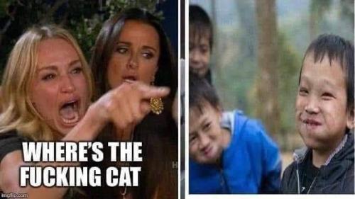 FB_IMG_1681842197460