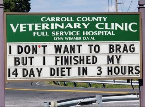 14 day diet