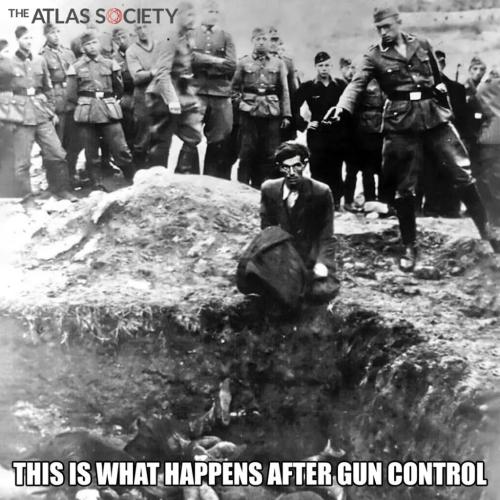 gun control wim