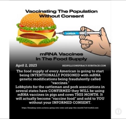 339789540_1666102927159792_1575039236034131319_n