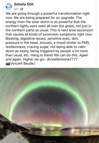 51cCp52jAWL._AC_AC_SR98,95_