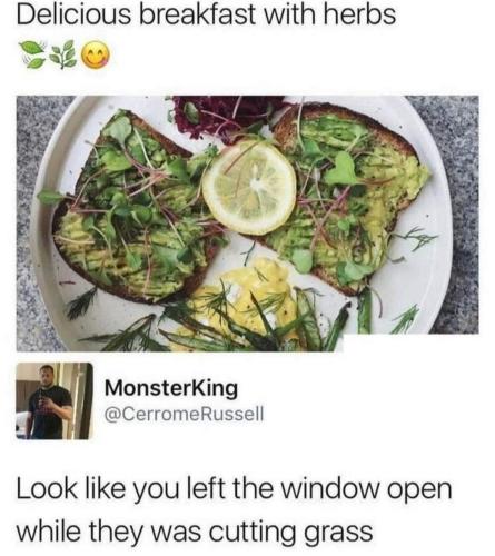 left the wondow open