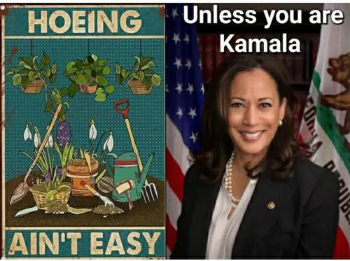 4b3bfc3d-7ced-494b-962b-caa5a0c5474b