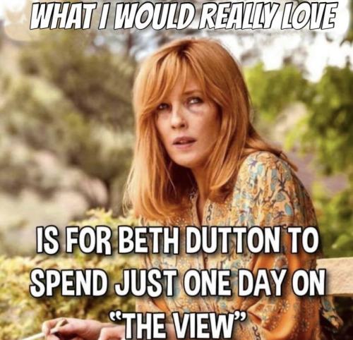 dutton on the view png