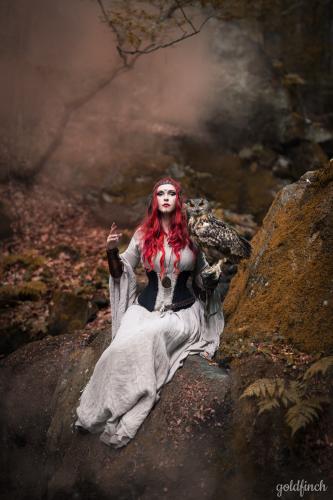 342213518_894275971660646_9008690997196874130_n