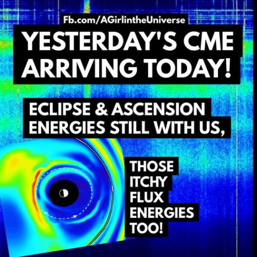 51cCp52jAWL._AC_AC_SR98,95_