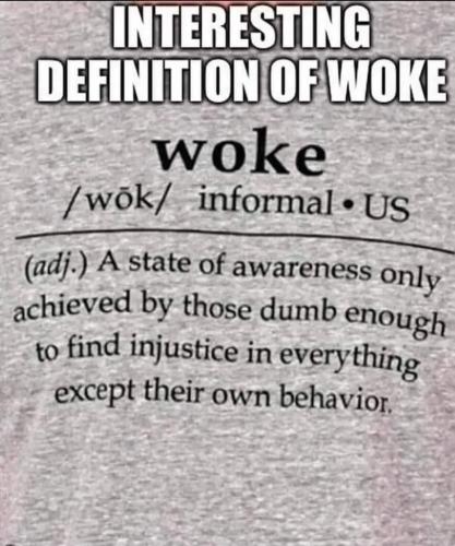definition of woke