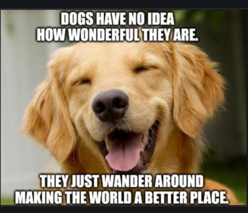 Screenshot_20230316_101556_Chrome